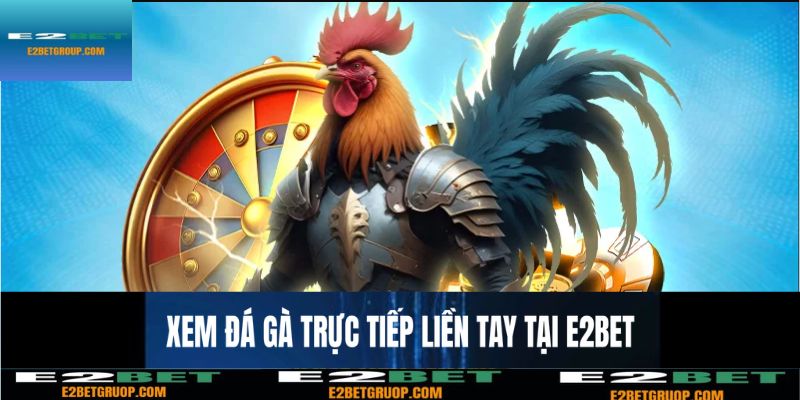 Xem đá gà trực tiếp, cược liền tay tại E2BET